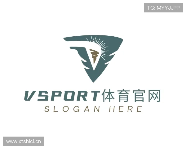 介绍VSPORTS胜利因您更精彩